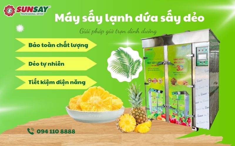 Máy sấy lạnh dứa sấy dẻo