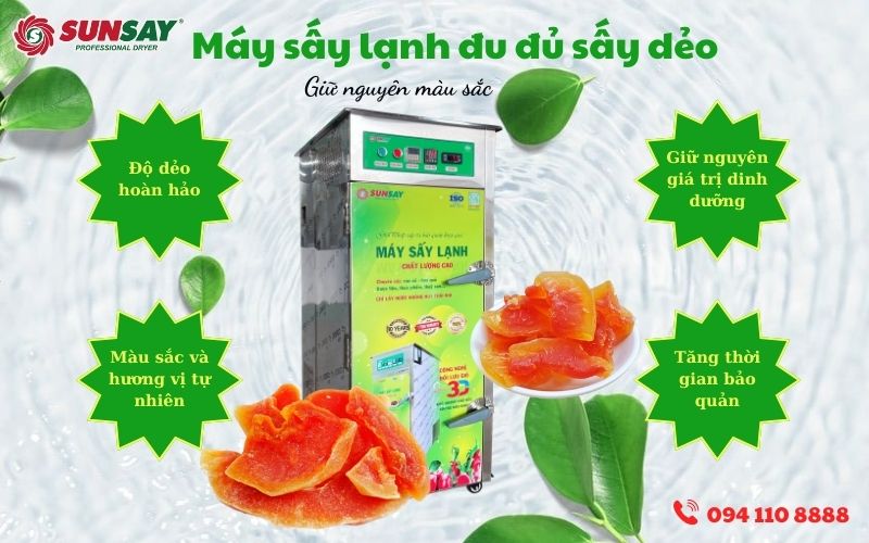 Máy sấy lạnh đu đủ sấy dẻo 