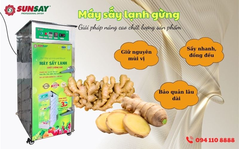 Máy sấy lạnh gừng