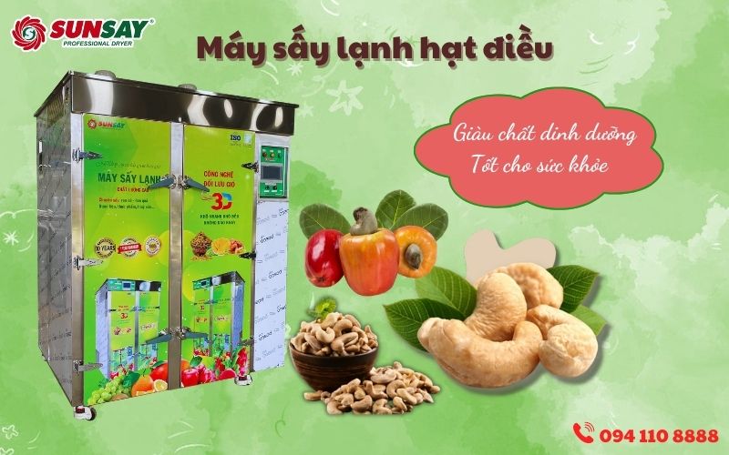 Máy sấy lạnh hạt điều 