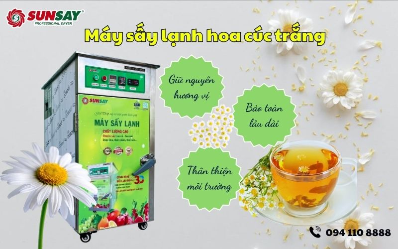 Máy sấy lạnh hoa cúc trắng 