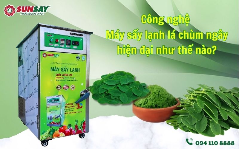 Máy sấy lạnh lá chùm ngây