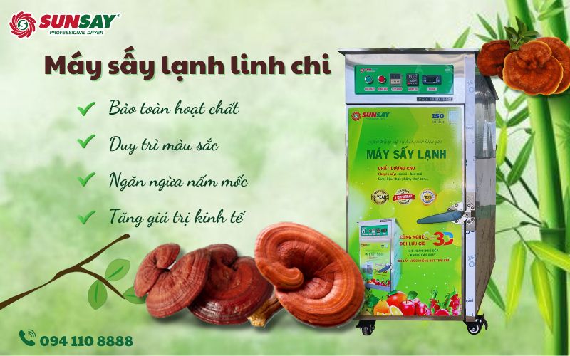 Máy sấy lạnh linh chi