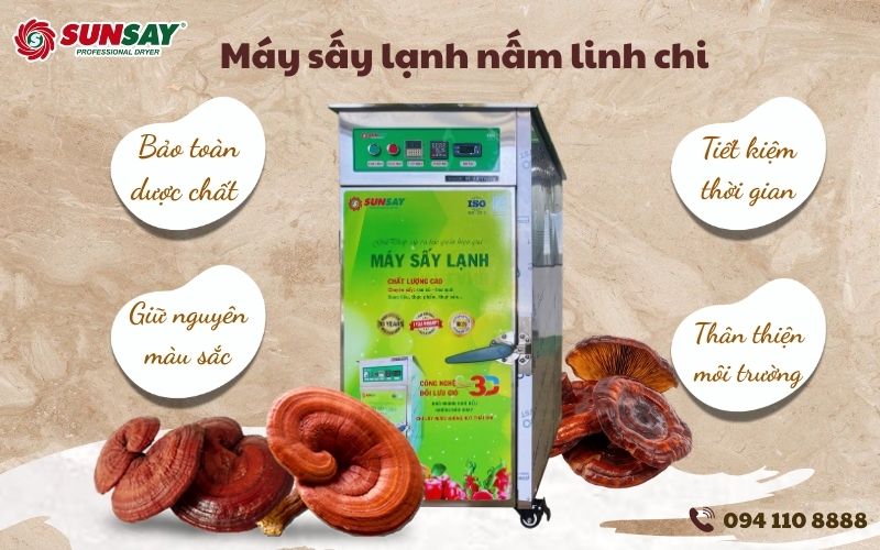 Máy sấy lạnh nấm linh chi