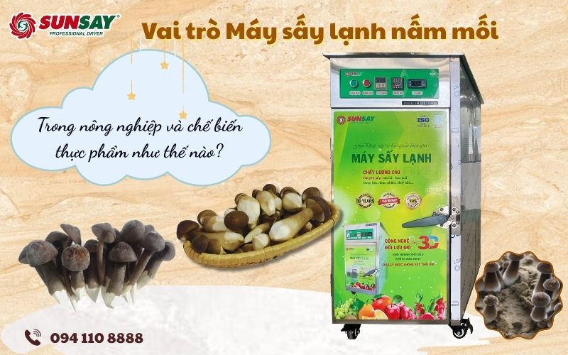 Máy sấy lạnh nấm mối